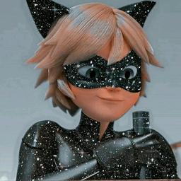 digitoonAvatar