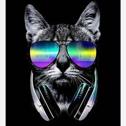 digitoonAvatar