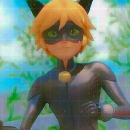 digitoonAvatar