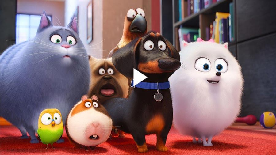 trailer