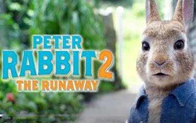 پیتر خرگوشه 2: فراری