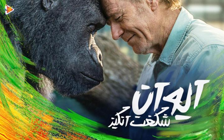 ایوان شگفت انگیز