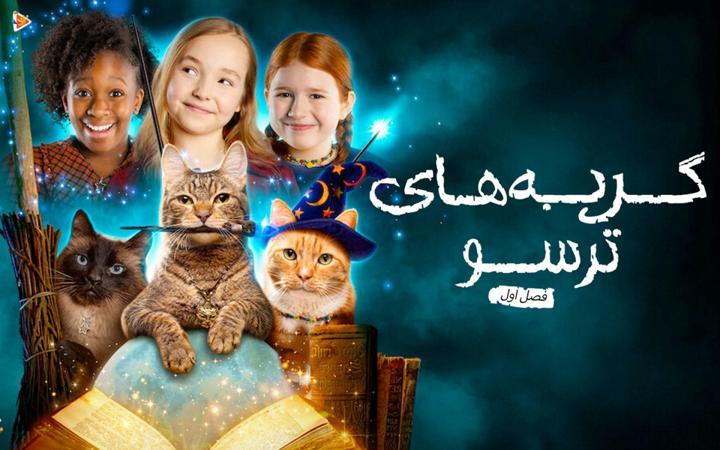 گربه های ترسو - فصل اول