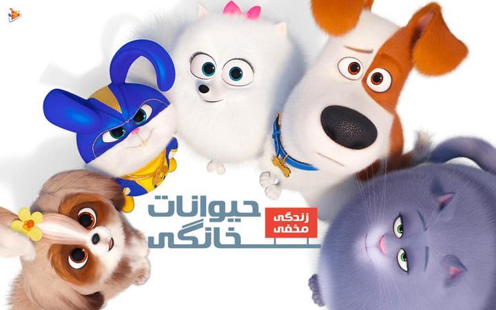 زندگی مخفی حیوانات خانگی