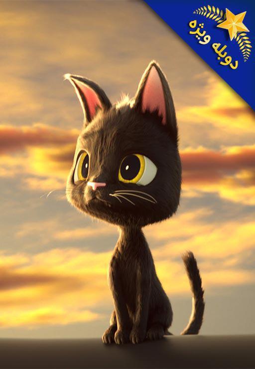 رودولف- گربه سیاه